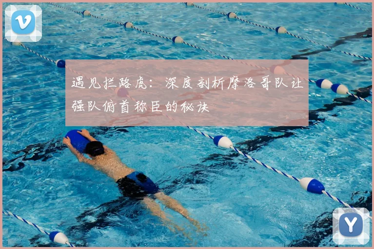 遇见拦路虎：深度剖析摩洛哥队让强队俯首称臣的秘诀